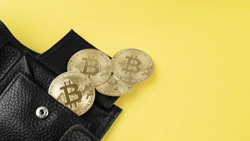 ecryptobit.com wallets