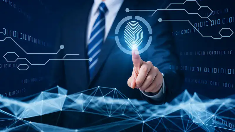 ziimp .com tech