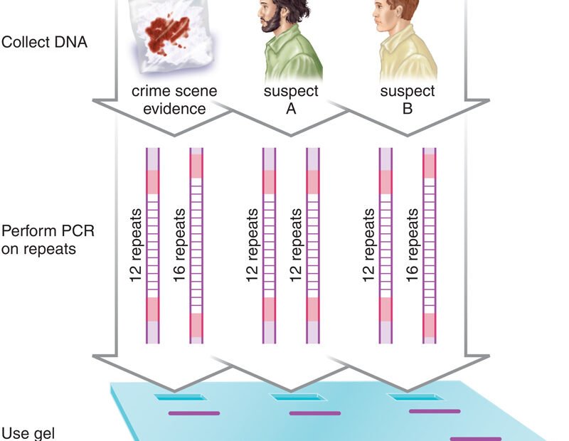 DNA Test