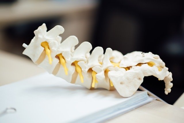10 Common Spine Conditions and How to Manage Them