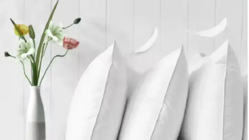 Bulk Pillows