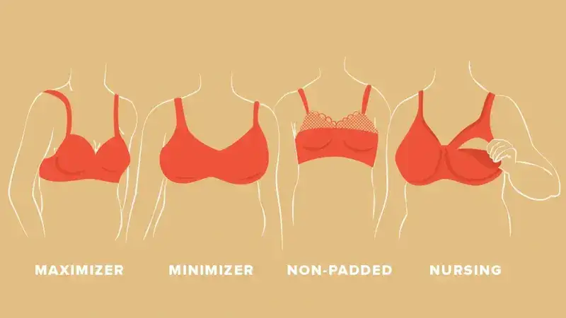 Full Support Bras for Large Busts